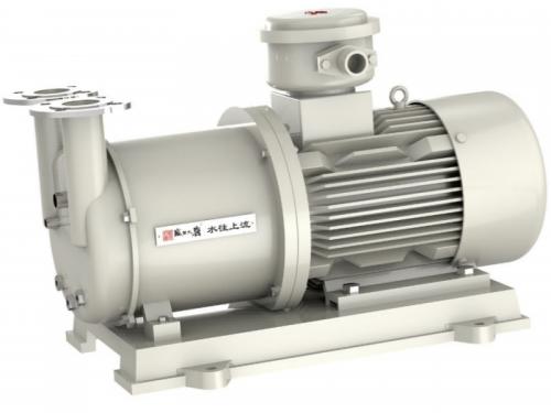 TCBV type magnetic drive vacuum pump